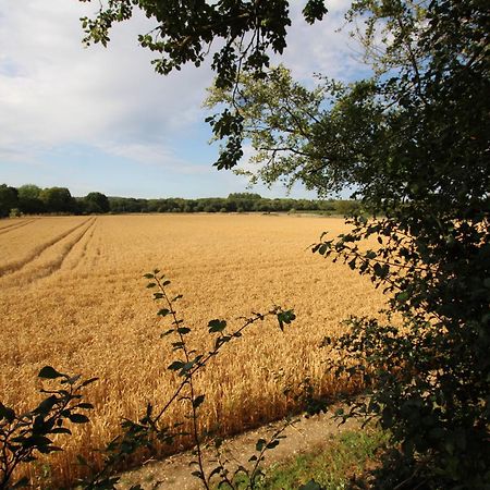 Apartmán Cowslip Barn Annexe Chichester Exteriér fotografie