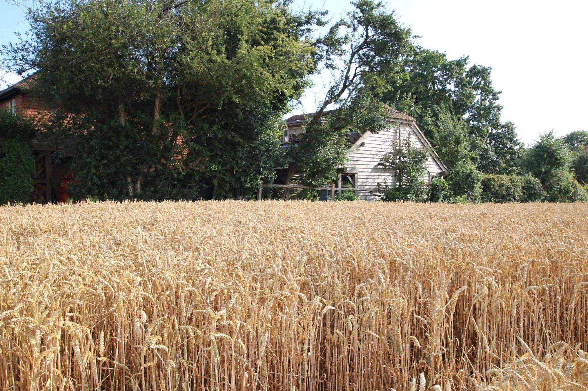 Apartmán Cowslip Barn Annexe Chichester Exteriér fotografie